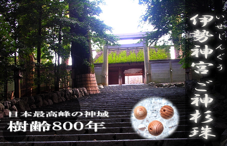 日本最高峰の神域 樹齢800年 伊勢神宮 御神杉珠